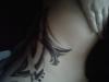 Prev Image
