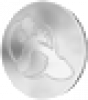 Prev Image