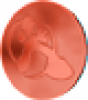 Prev Image