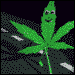 Mr.E Weed's Avatar